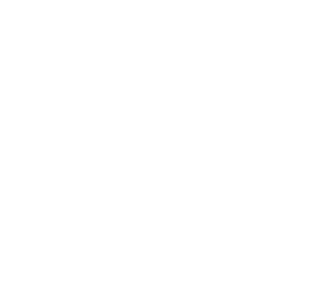 Zalo Icon