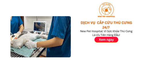 Cấp Cứu Thú Cưng 24/7 – New Pet Hospital: Vì Sức Khỏe Bạn Thú Là Ưu Tiên Hàng Đầu!