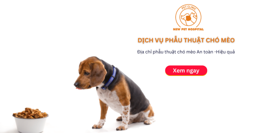 TƯ VẤN DINH DƯỠNG THÚ CƯNG TẠI NEW PET HOSPITAL